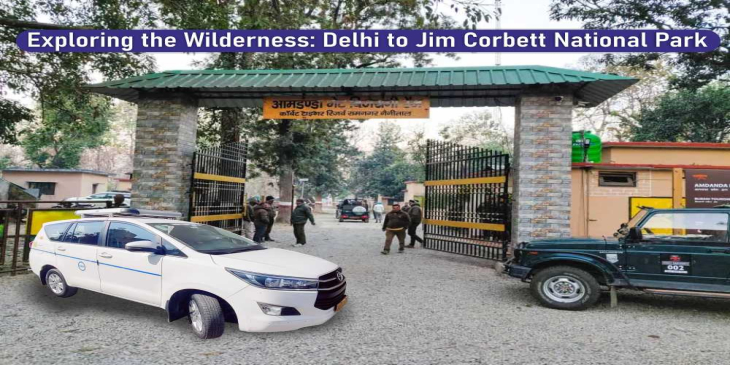 Exploring the Wilderness: Delhi to Jim Corbett National Park Exploring the Wilderness: Delhi to Jim Corbett National Park